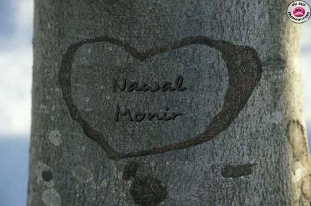  c pour toi mon amour